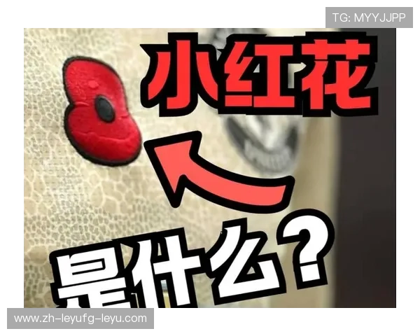 英超节礼日球衣上佩戴的纪念花代表什么？